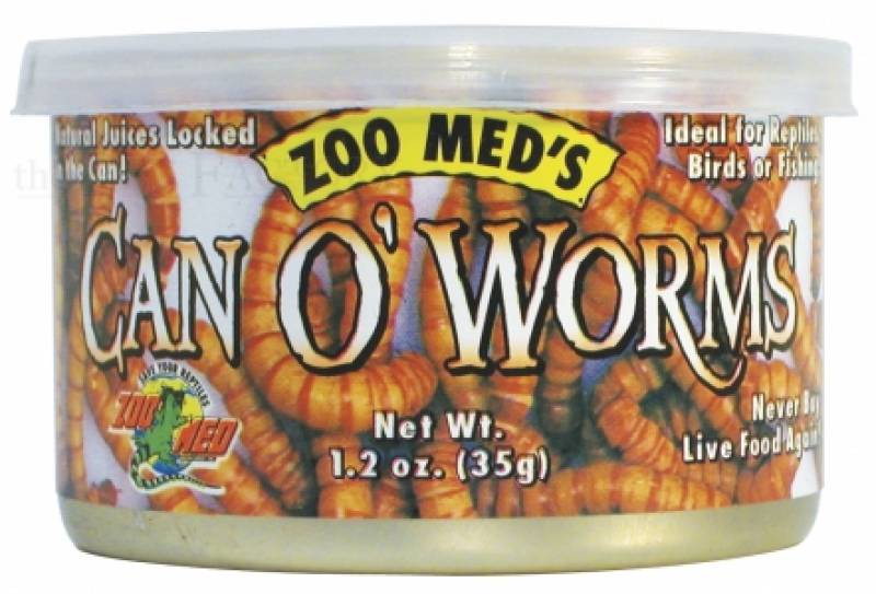 Can O' Worms (300 worms/can) 35 g